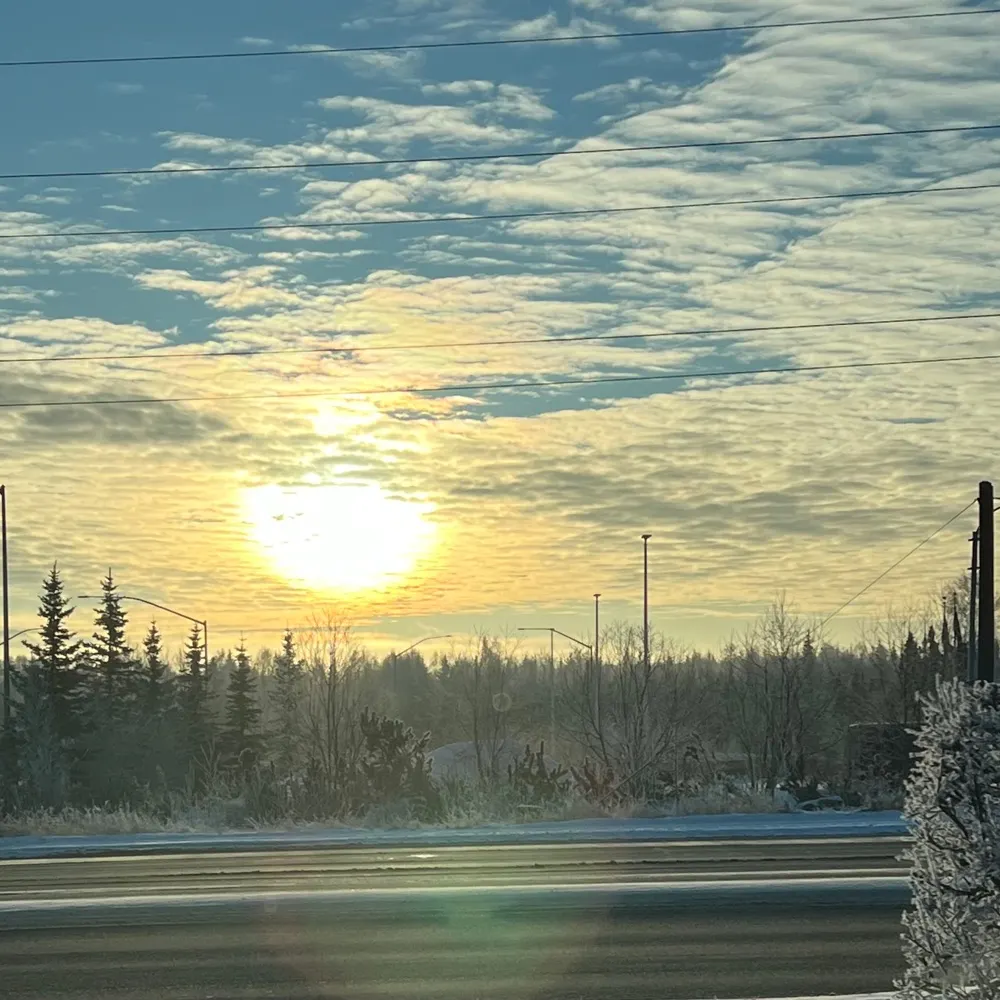 vltak.bsky.social's profile picture