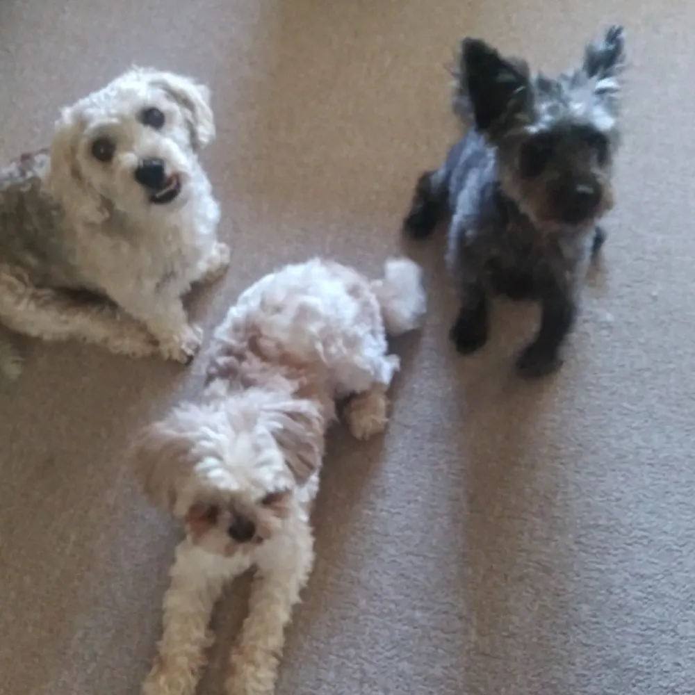 mrspaul16.bsky.social's profile picture