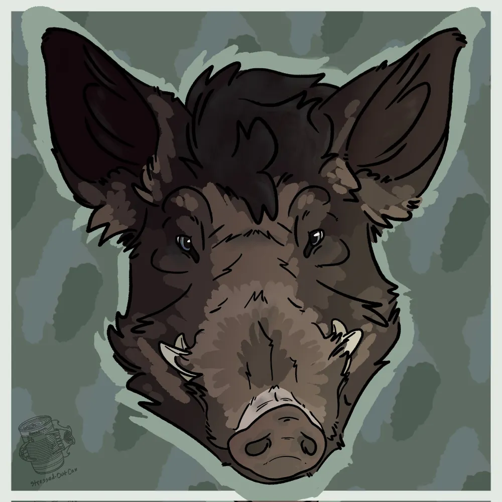 honzastropek.bsky.social's profile picture