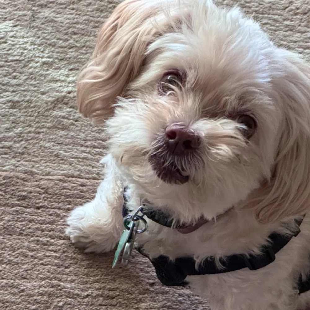 hmmmmnothankyou.bsky.social's profile picture