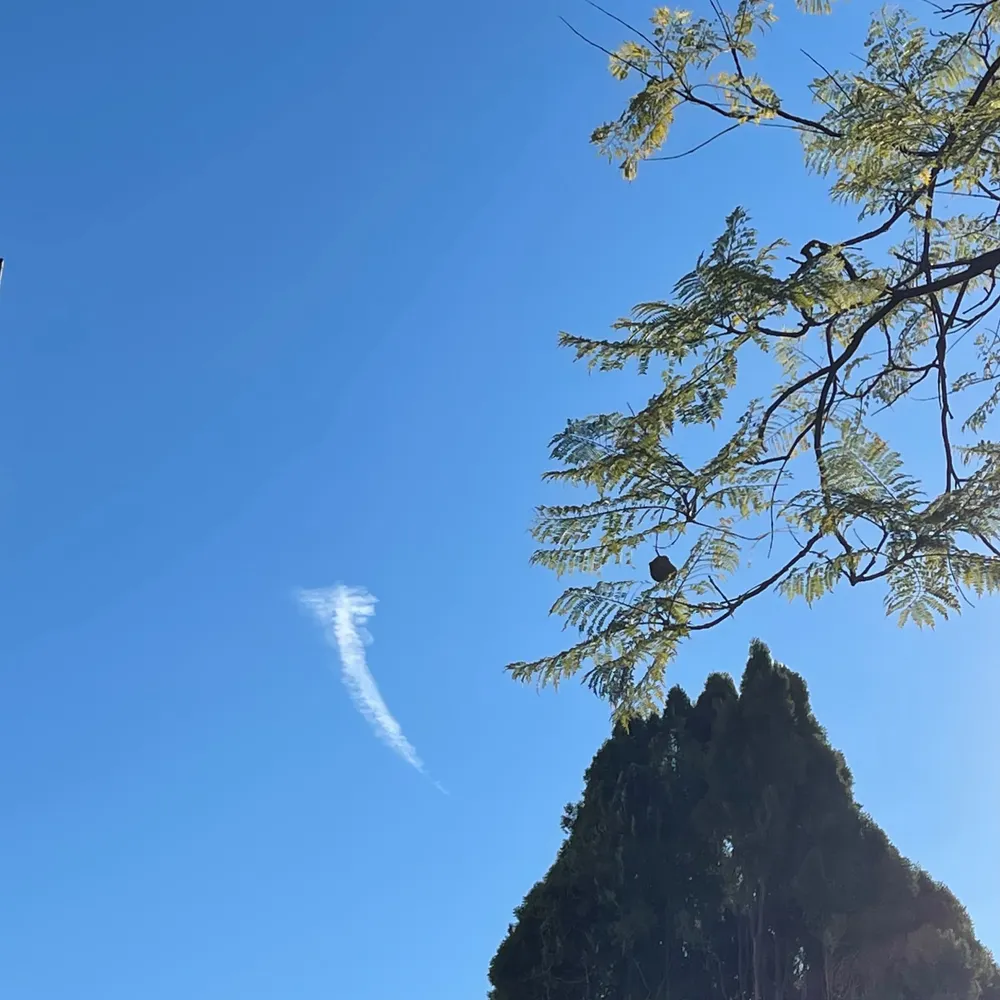 dawna9.bsky.social's profile picture