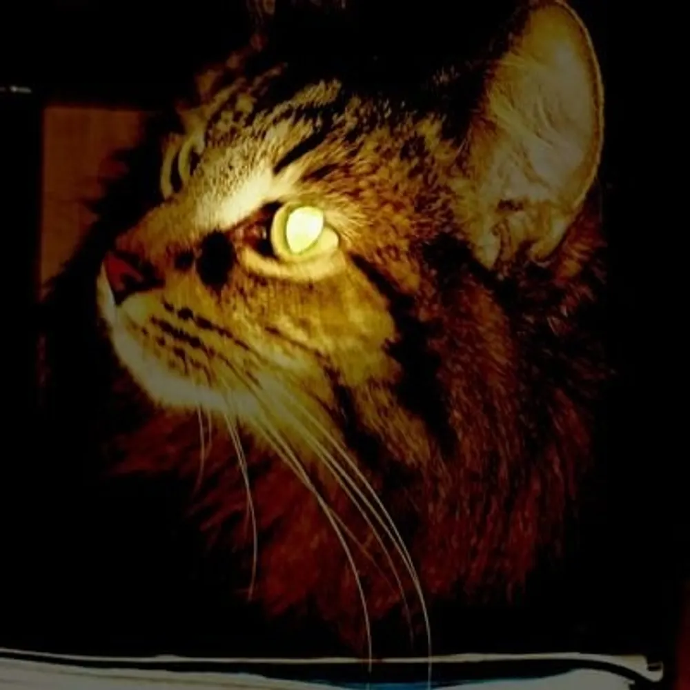 peterand.bsky.social's profile picture