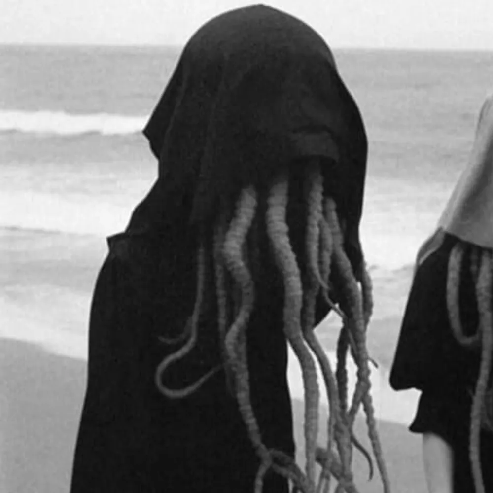 cephalopod.bsky.social's profile picture