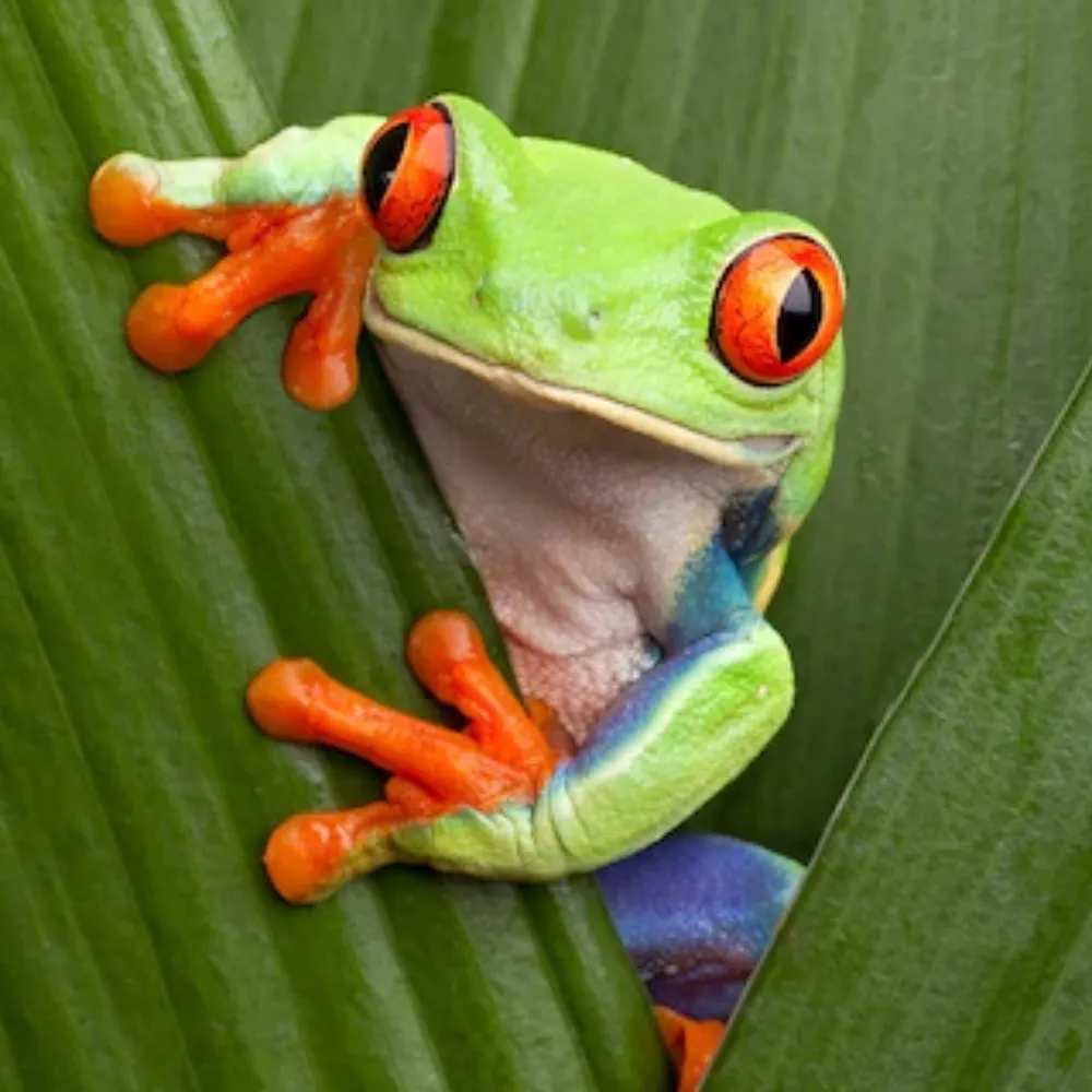 guyshammguy.bsky.social's profile picture