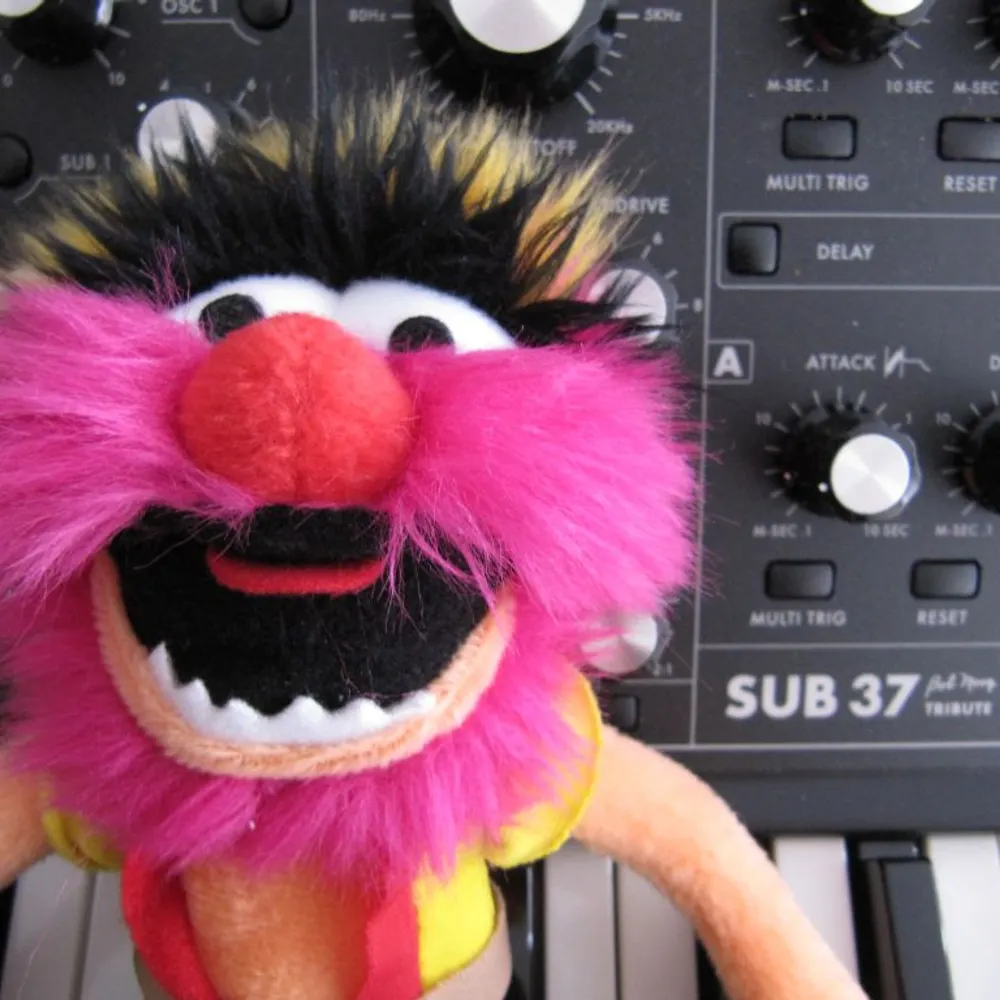 kwhcoaster.bsky.social's profile picture