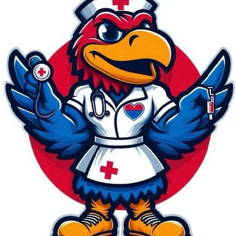 jayhawk16.bsky.social's profile picture