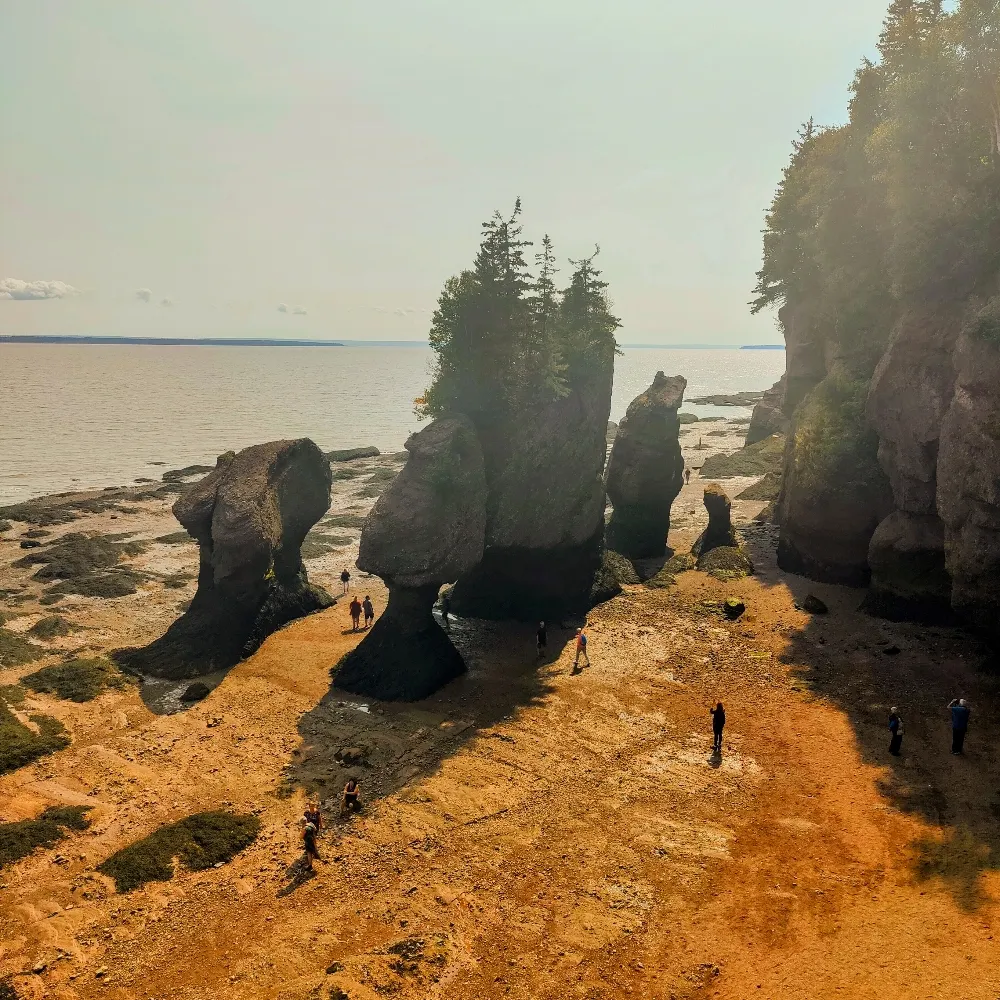 separker.bsky.social's profile picture