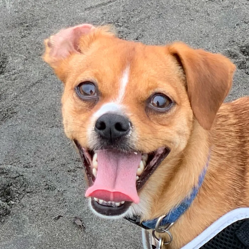 realjmw.bsky.social's profile picture