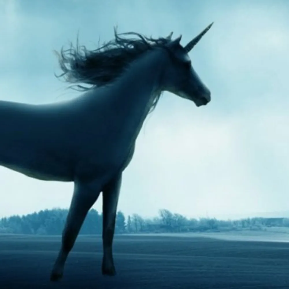 sundene.bsky.social's profile picture