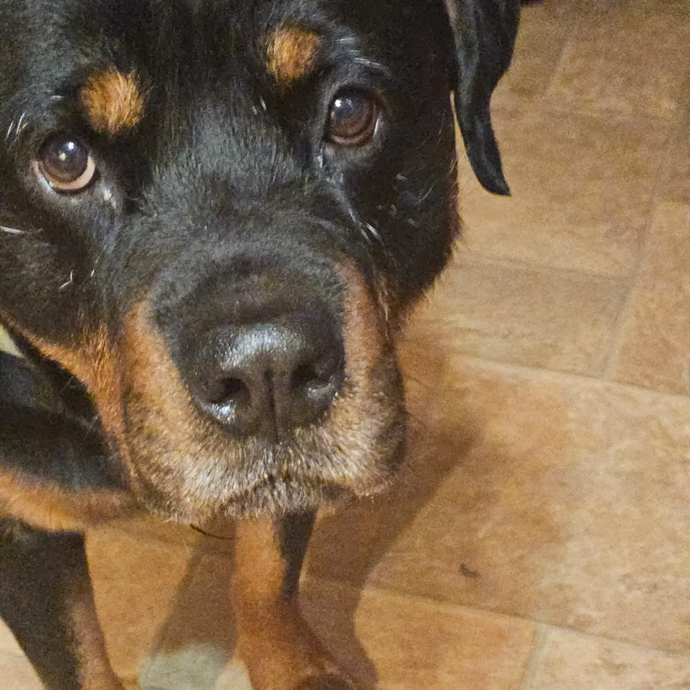 maximumdoom.bsky.social's profile picture