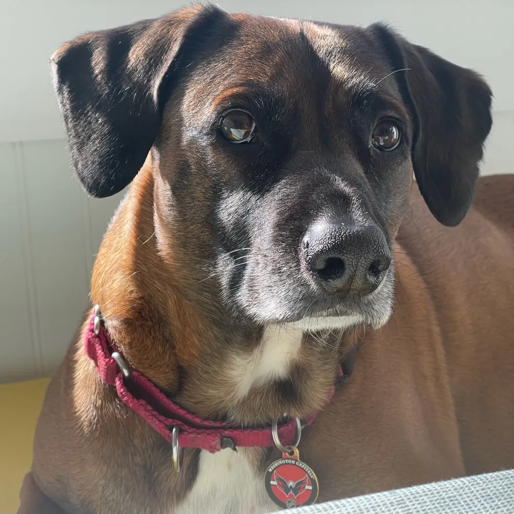 frankgindc.bsky.social's profile picture