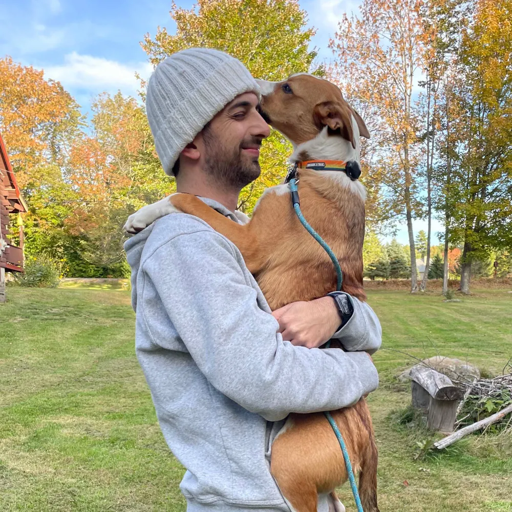 calabro.io's profile picture