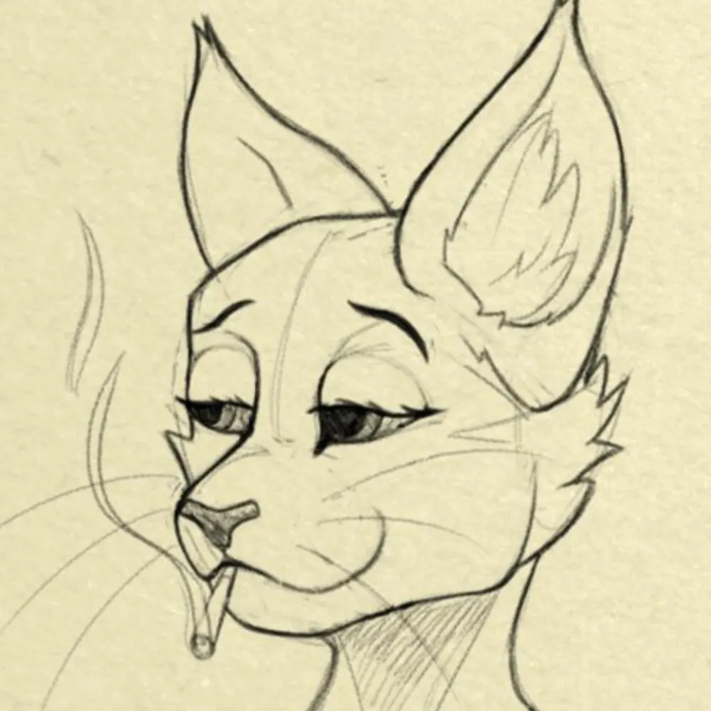 noitecato.bsky.social's profile picture