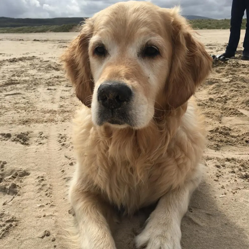 creativecoach.bsky.social's profile picture