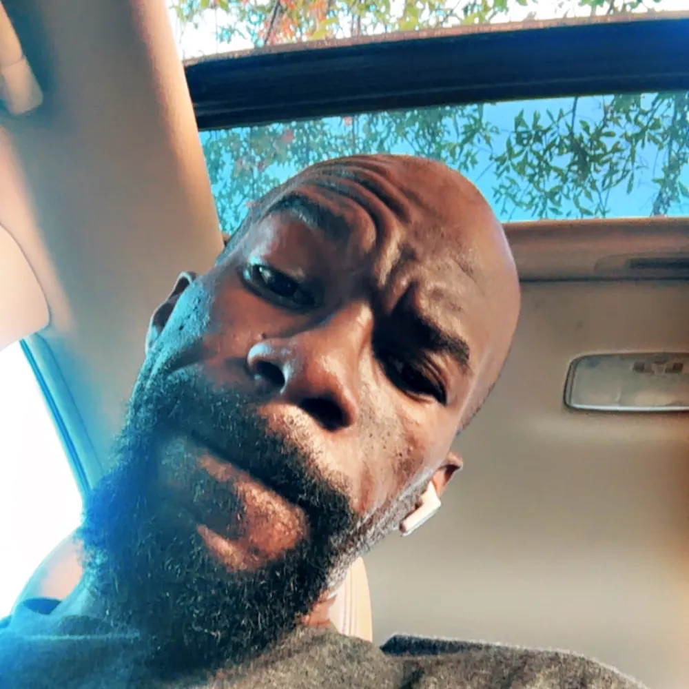 birdmandaflyest.blacksky.app's profile picture