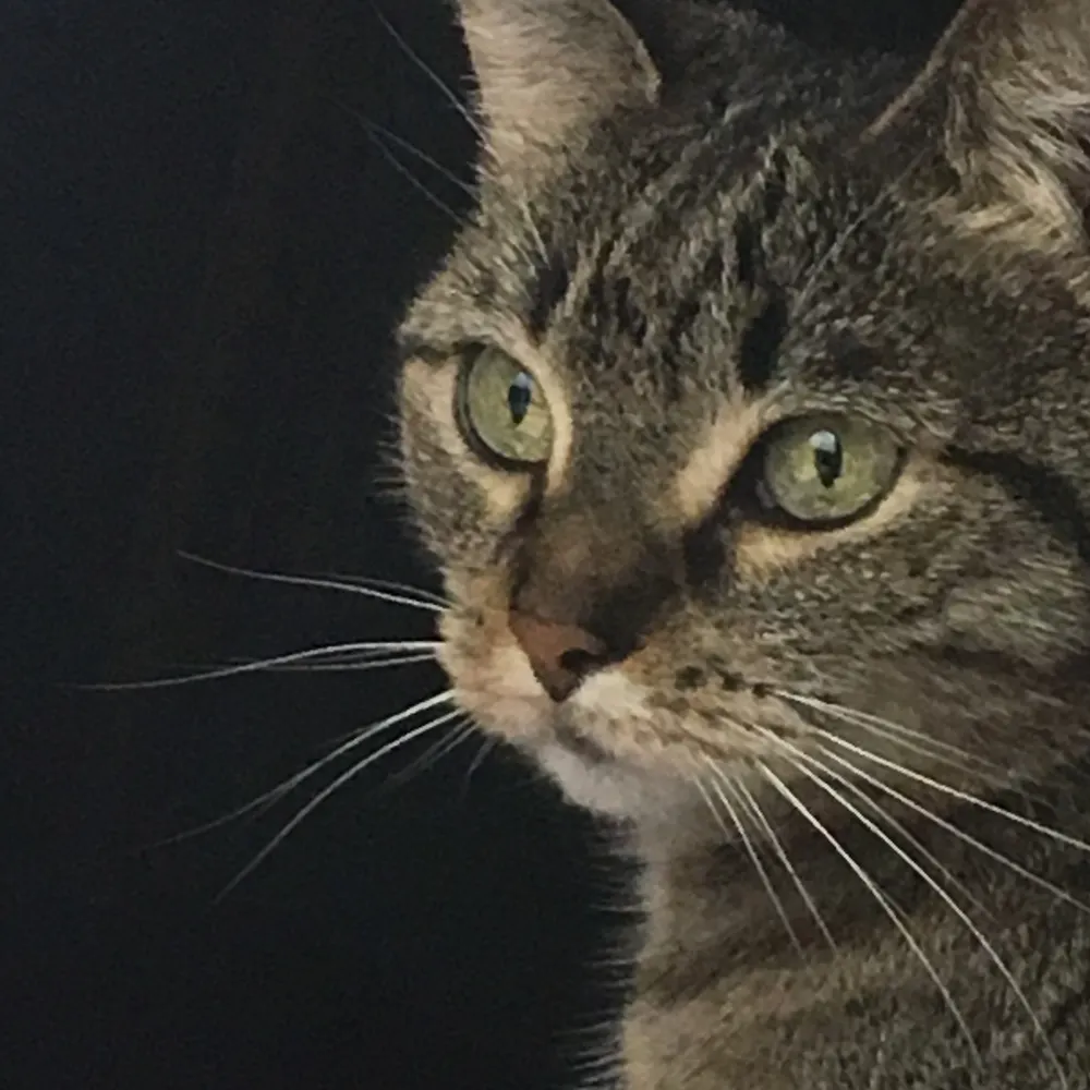 lruede.bsky.social's profile picture