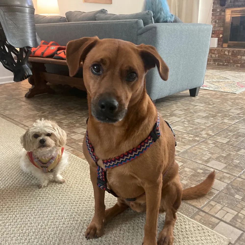 thakman.bsky.social's profile picture