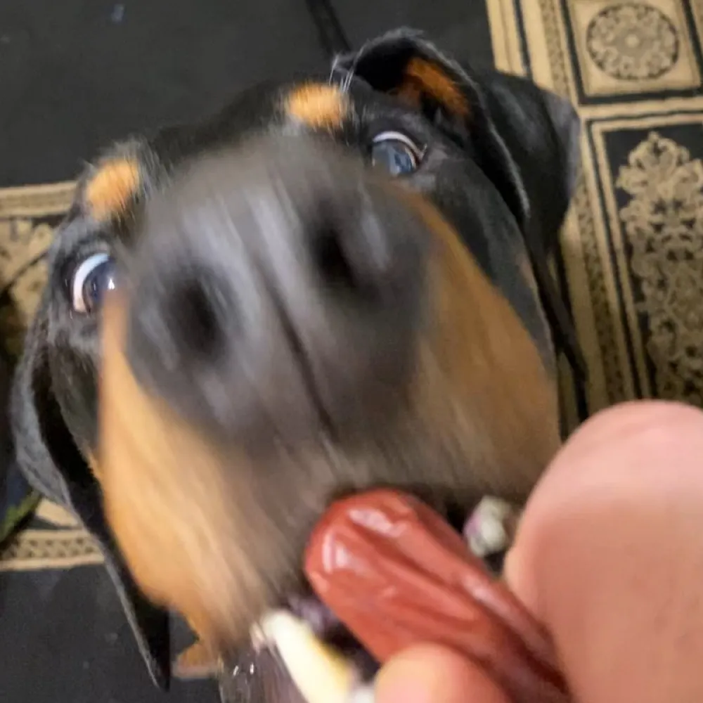 frenetic-eclectic.bsky.social's profile picture