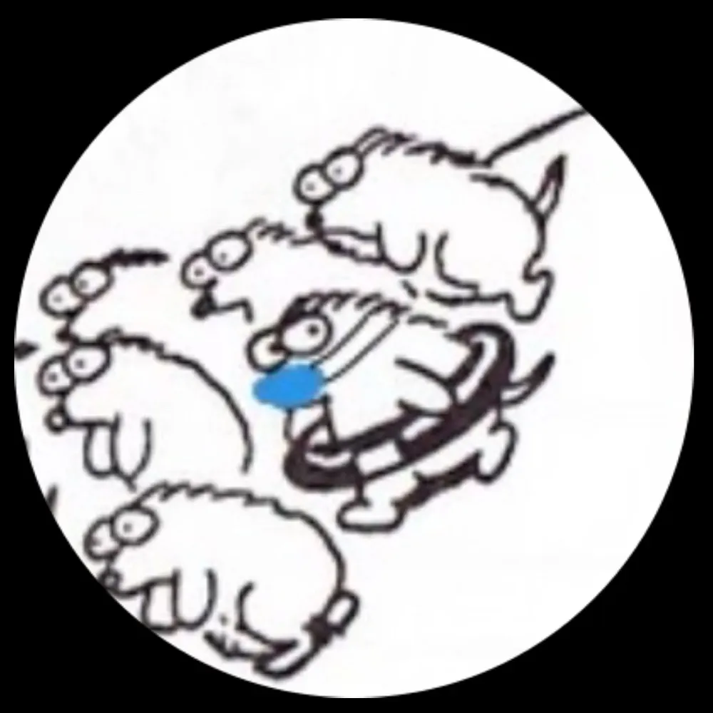 denisedewald.bsky.social's profile picture