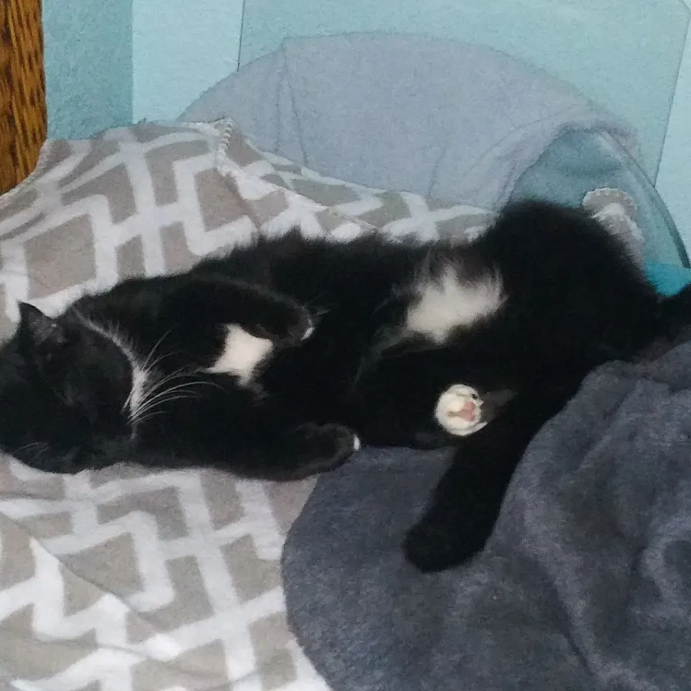 joescuba54.bsky.social's profile picture