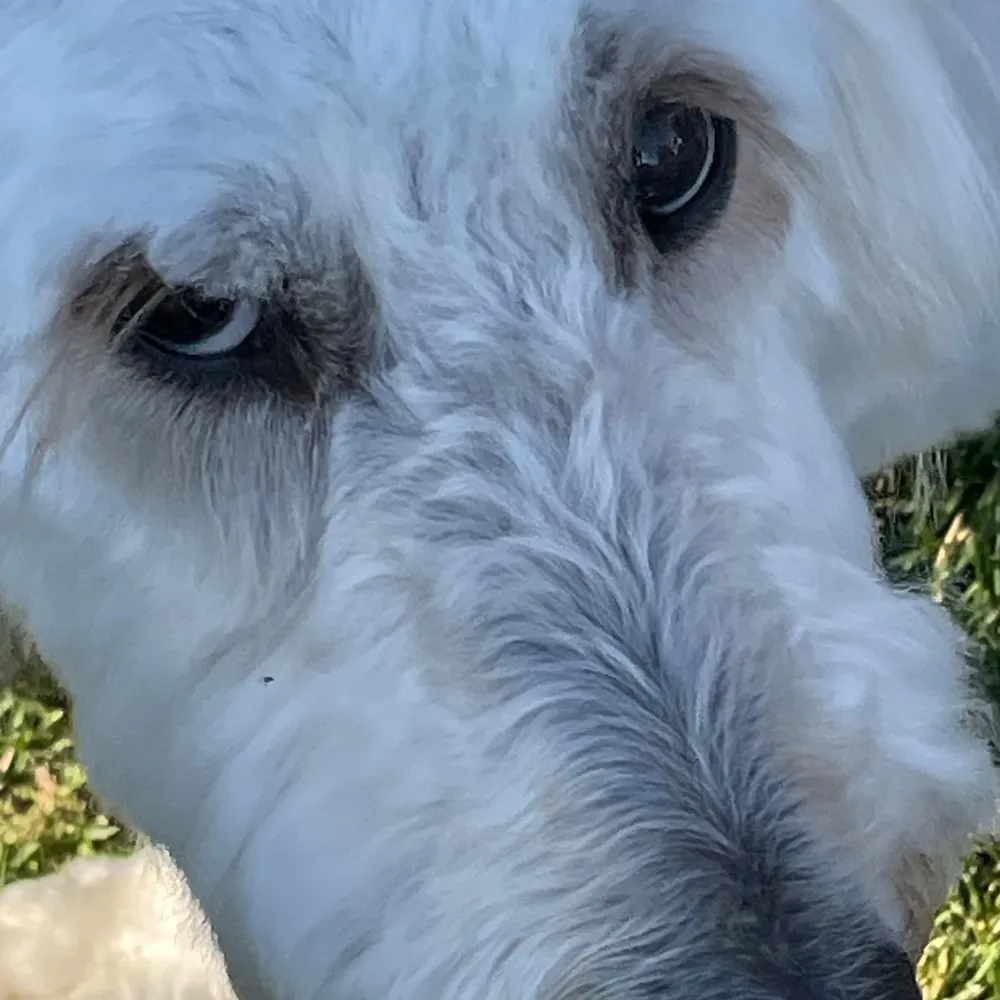 wichitawstraw.bsky.social's profile picture