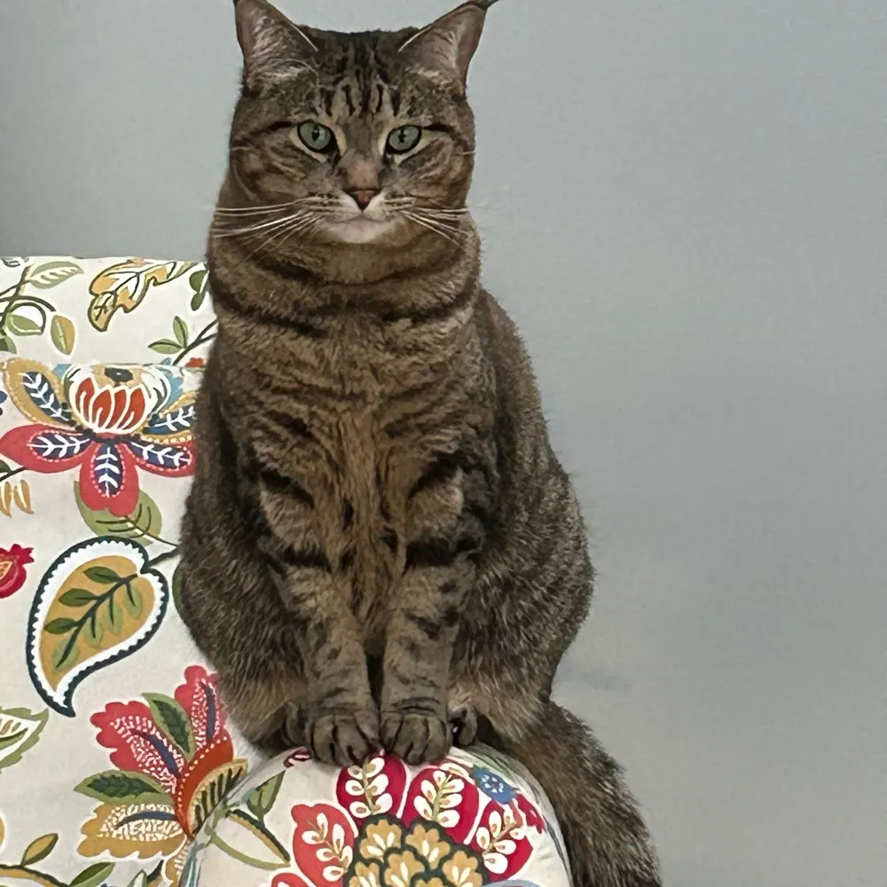 listenwell.bsky.social's profile picture