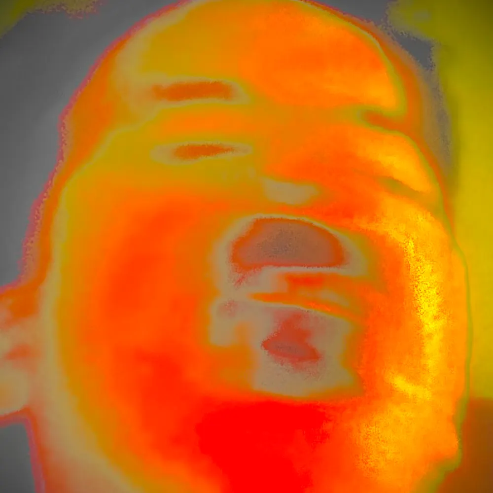 dungheap.bsky.social's profile picture