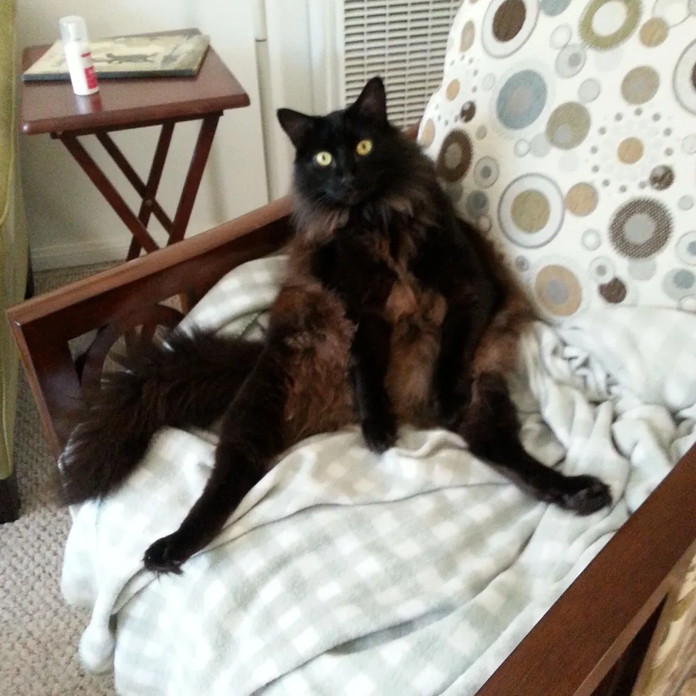 marzaprussell.bsky.social's profile picture