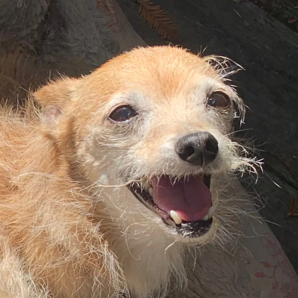 balme.bsky.social's profile picture