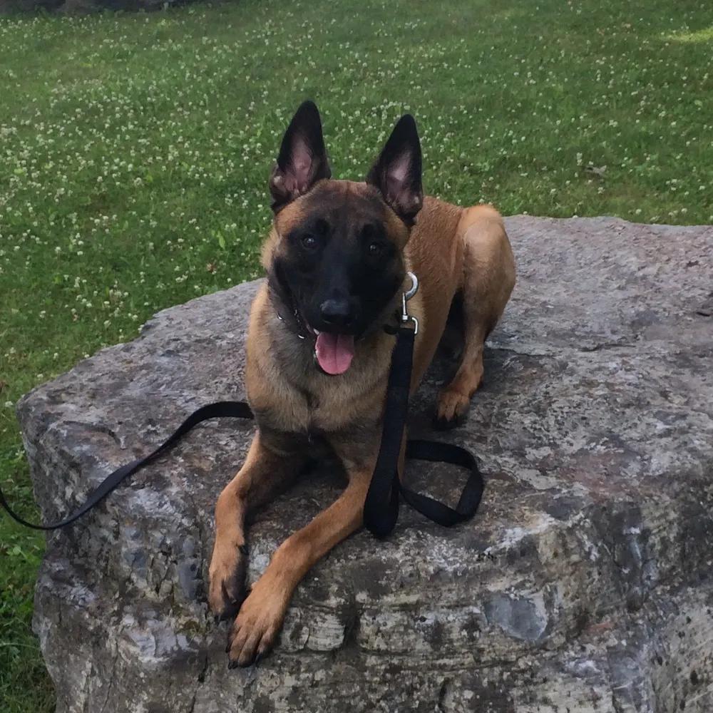 hunter79.bsky.social's profile picture