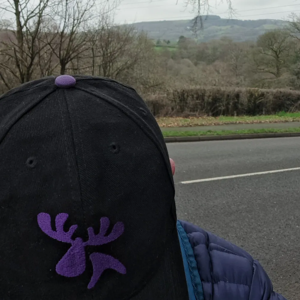 mrohm.bsky.social's profile picture