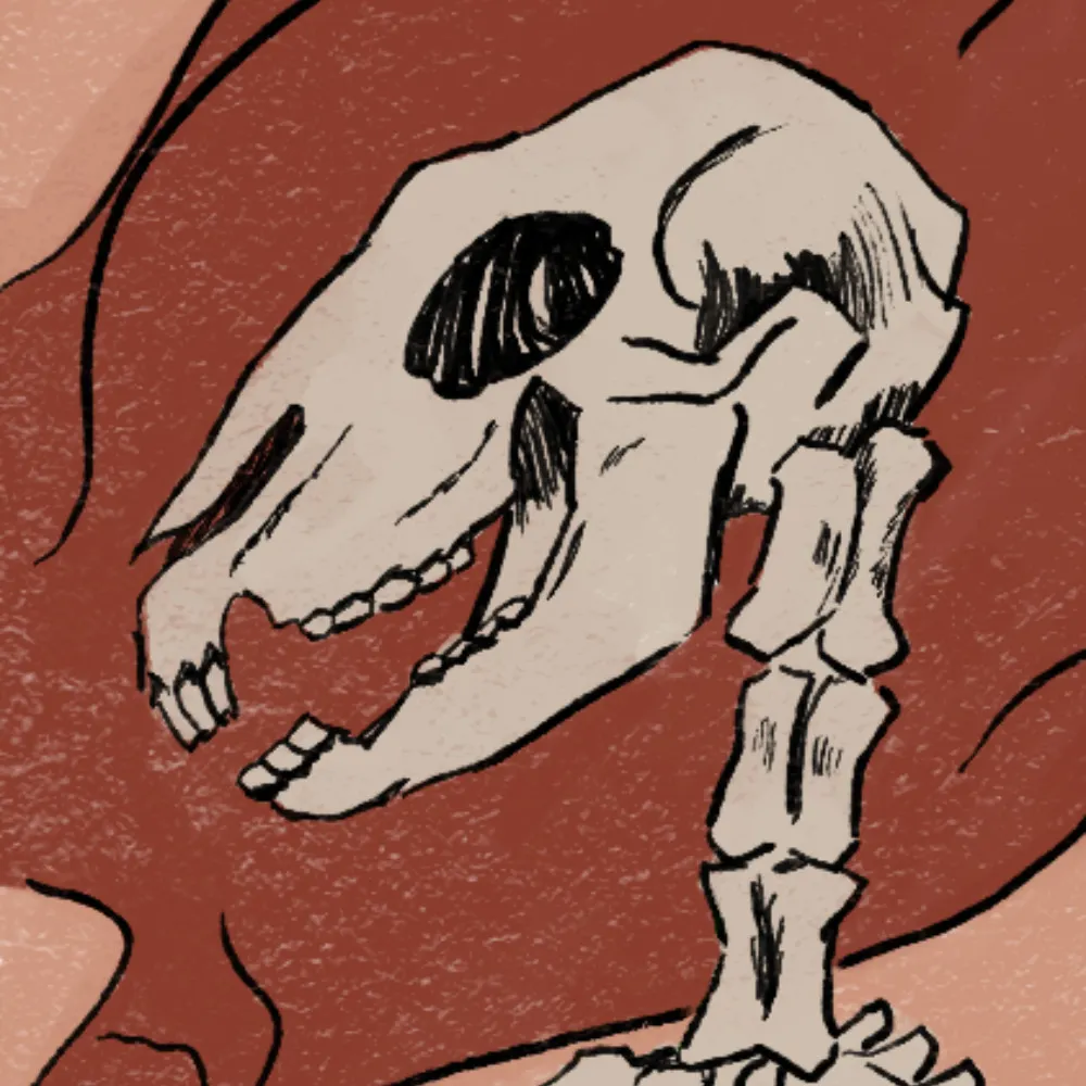 quoproquid.bsky.social's profile picture