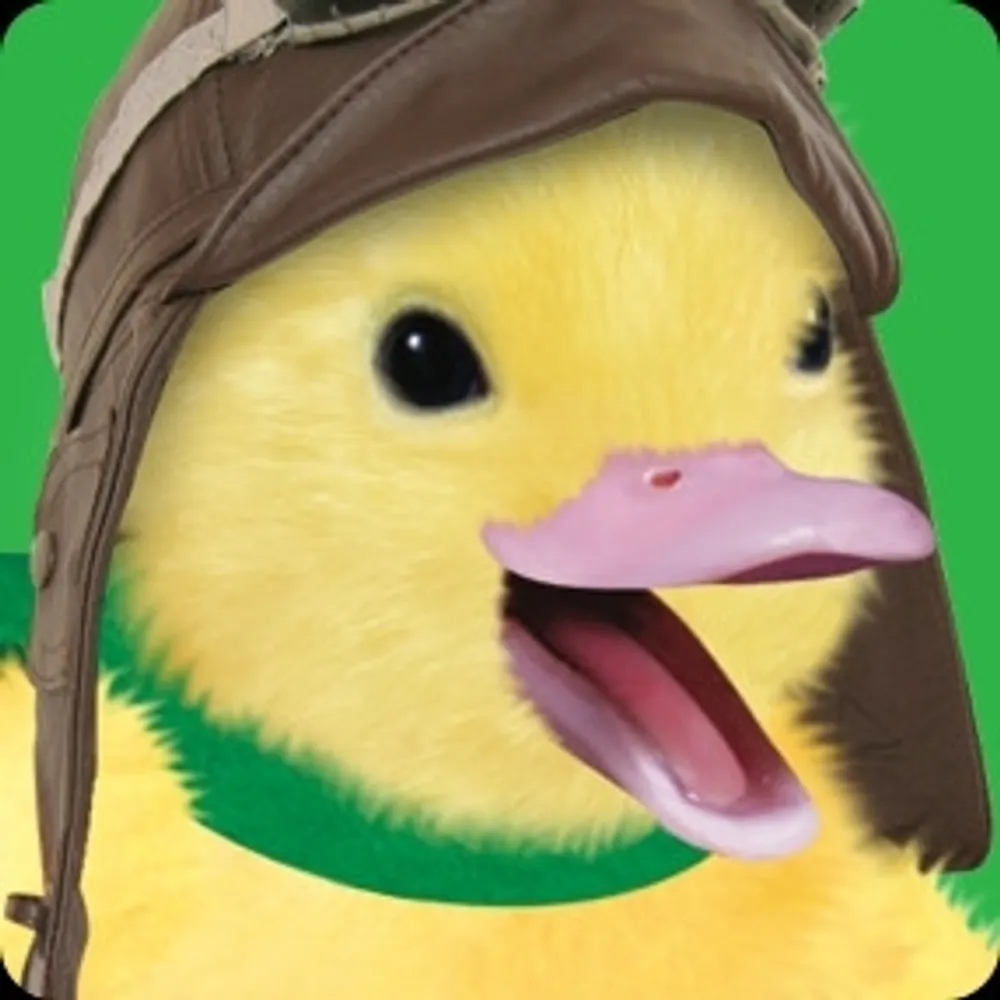 notglupshitto.bsky.social's profile picture