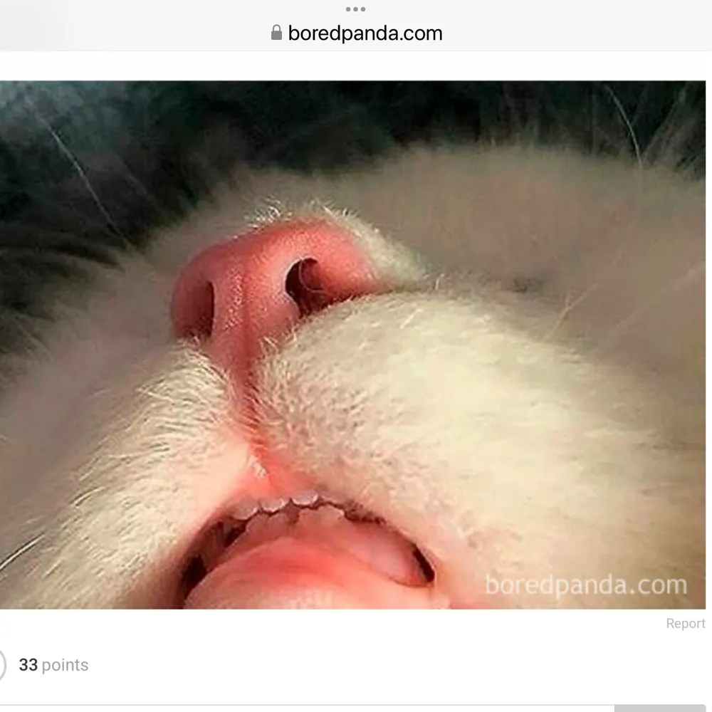 notamagatte.bsky.social's profile picture