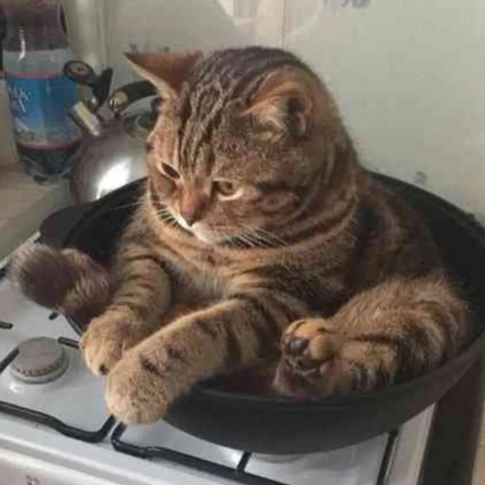 moniquepurpl3.bsky.social's profile picture