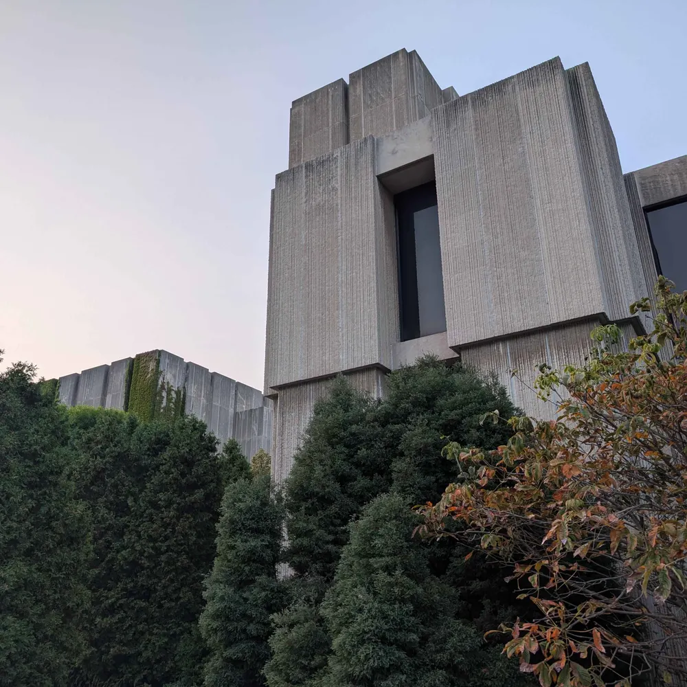 mw.brutalism.space's profile picture