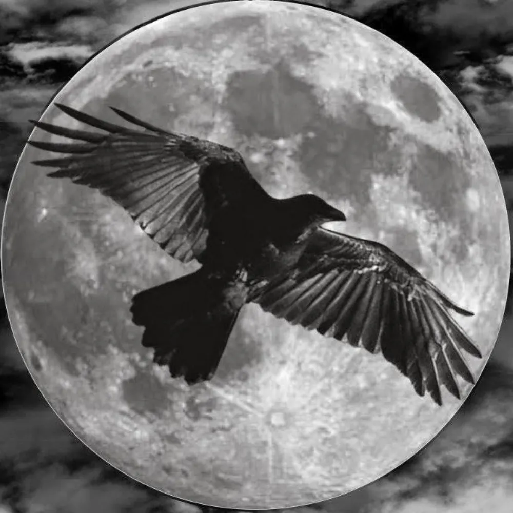 fiction-machine.bsky.social's profile picture