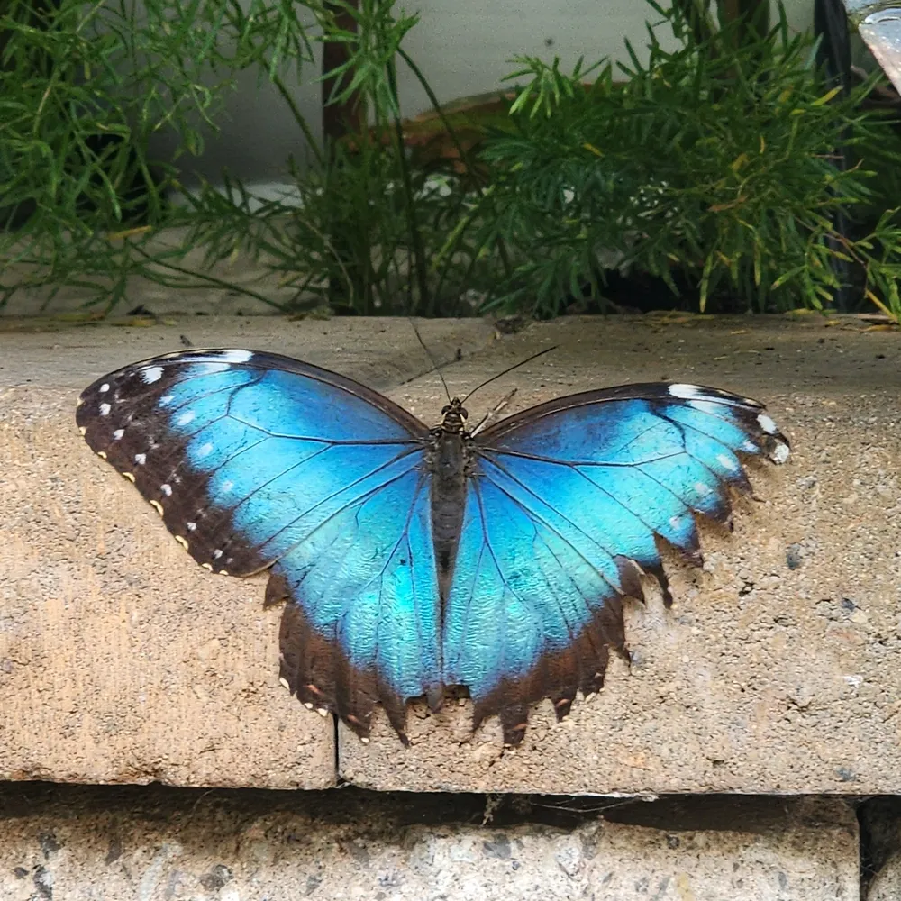 amynm69.bsky.social's profile picture