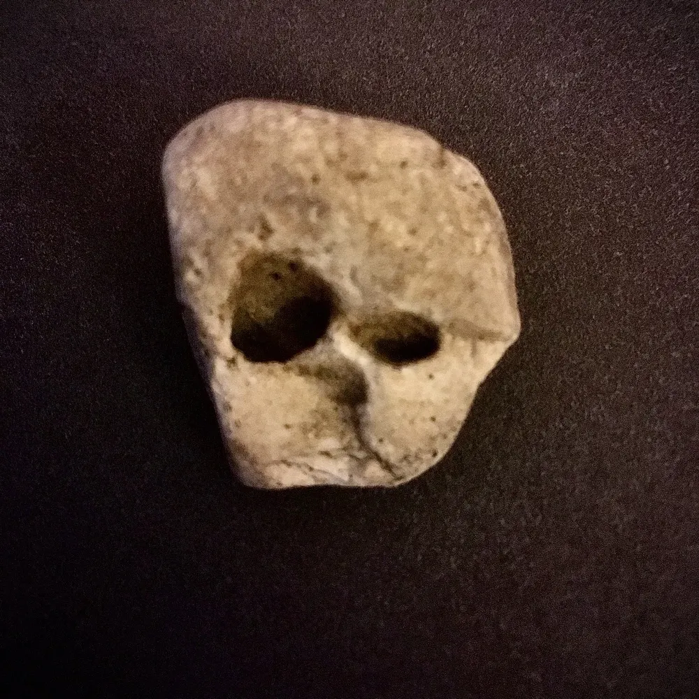 pndrp.bsky.social's profile picture