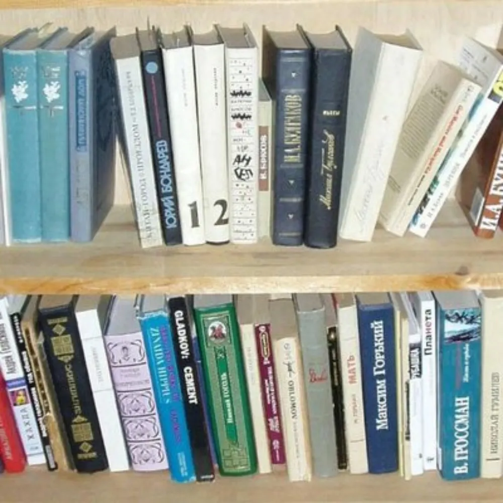 lizoksbooks.bsky.social's profile picture