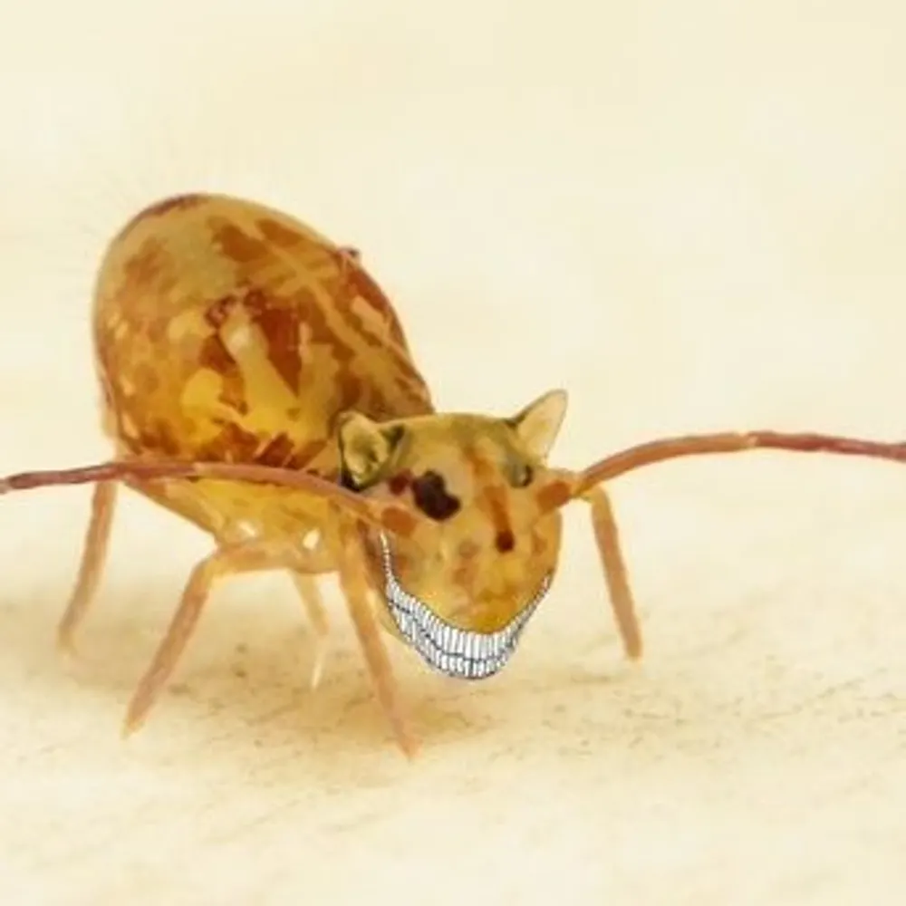 luckysitsinback.bsky.social's profile picture