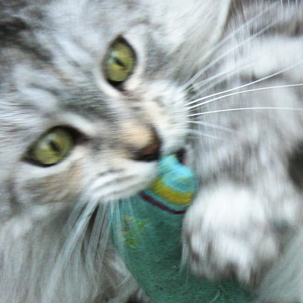 thatvalleygirl.bsky.social's profile picture