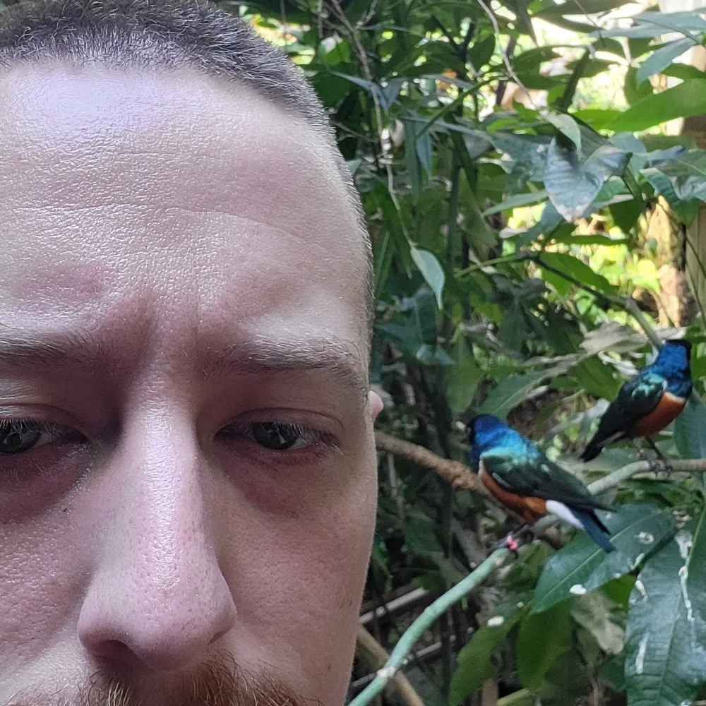 wargodmogis.bsky.social's profile picture