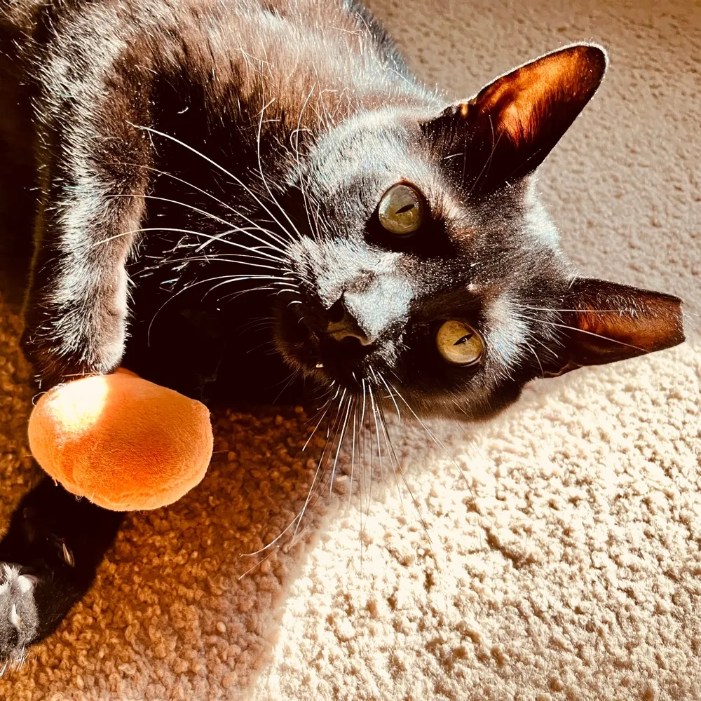 aprilataylor.bsky.social's profile picture