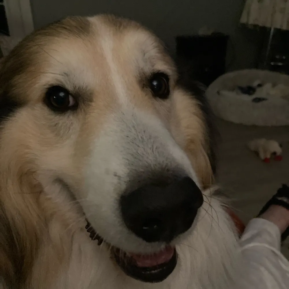 sallyjoe.bsky.social's profile picture