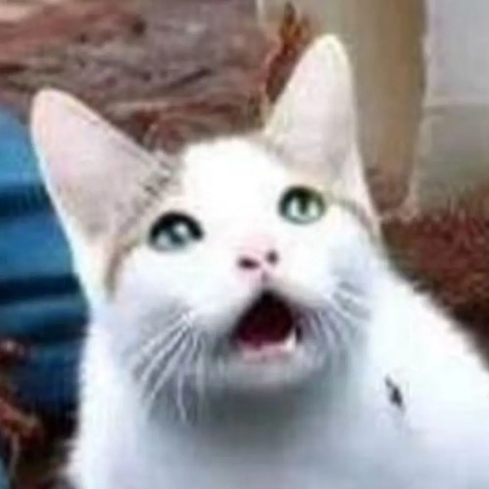 bennettelder.net's profile picture