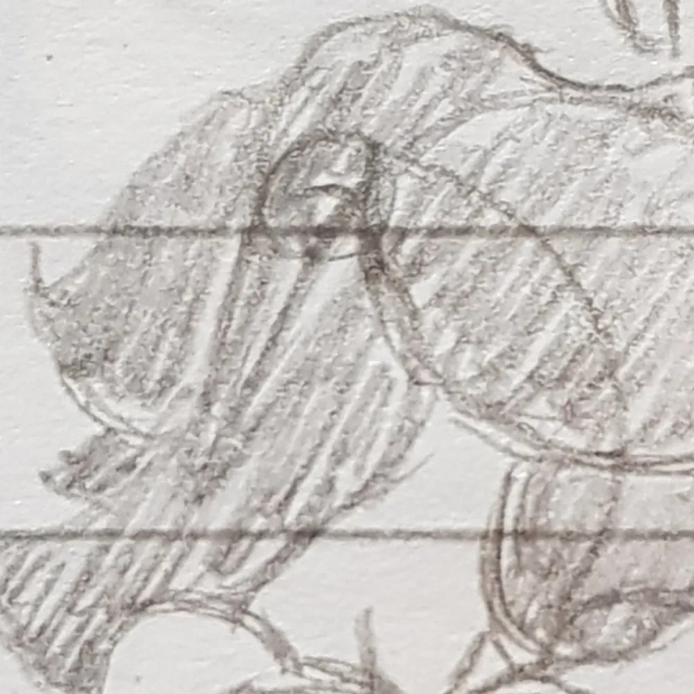 okidokicharlie.bsky.social's profile picture