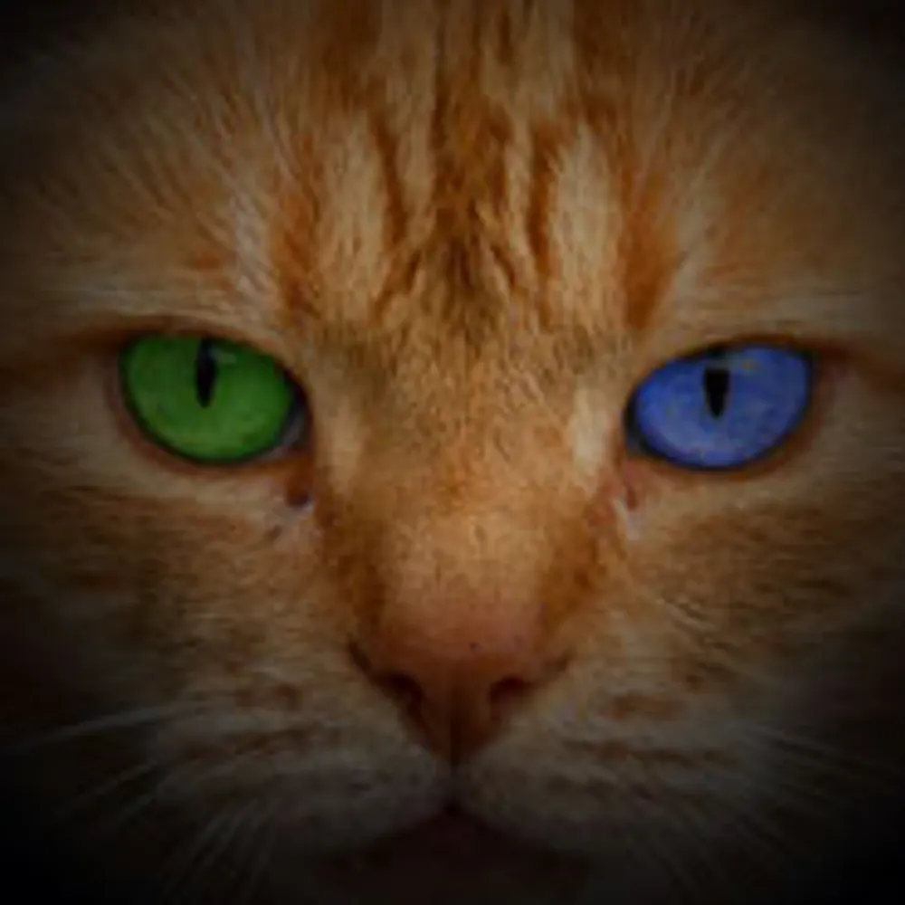 dennismpowers.bsky.social's profile picture