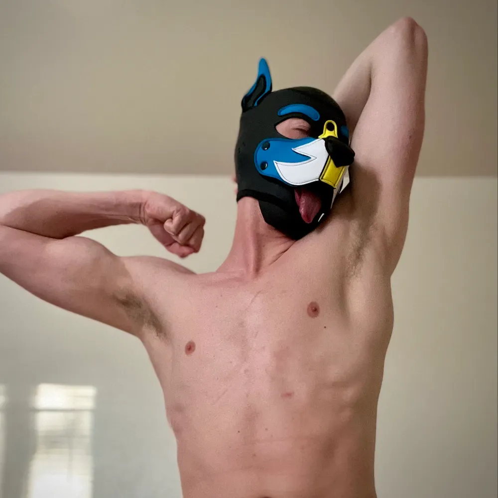 twunkly.bsky.social's profile picture