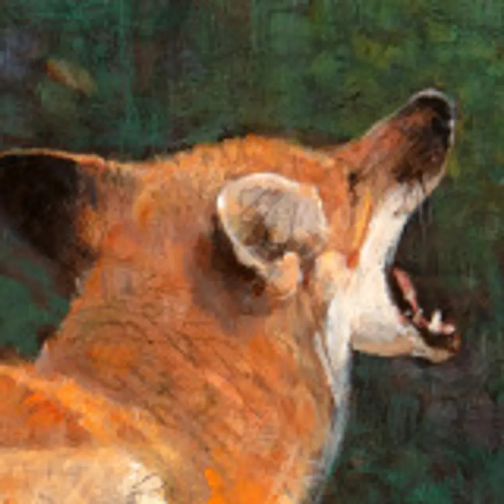 panthercat64.bsky.social's profile picture